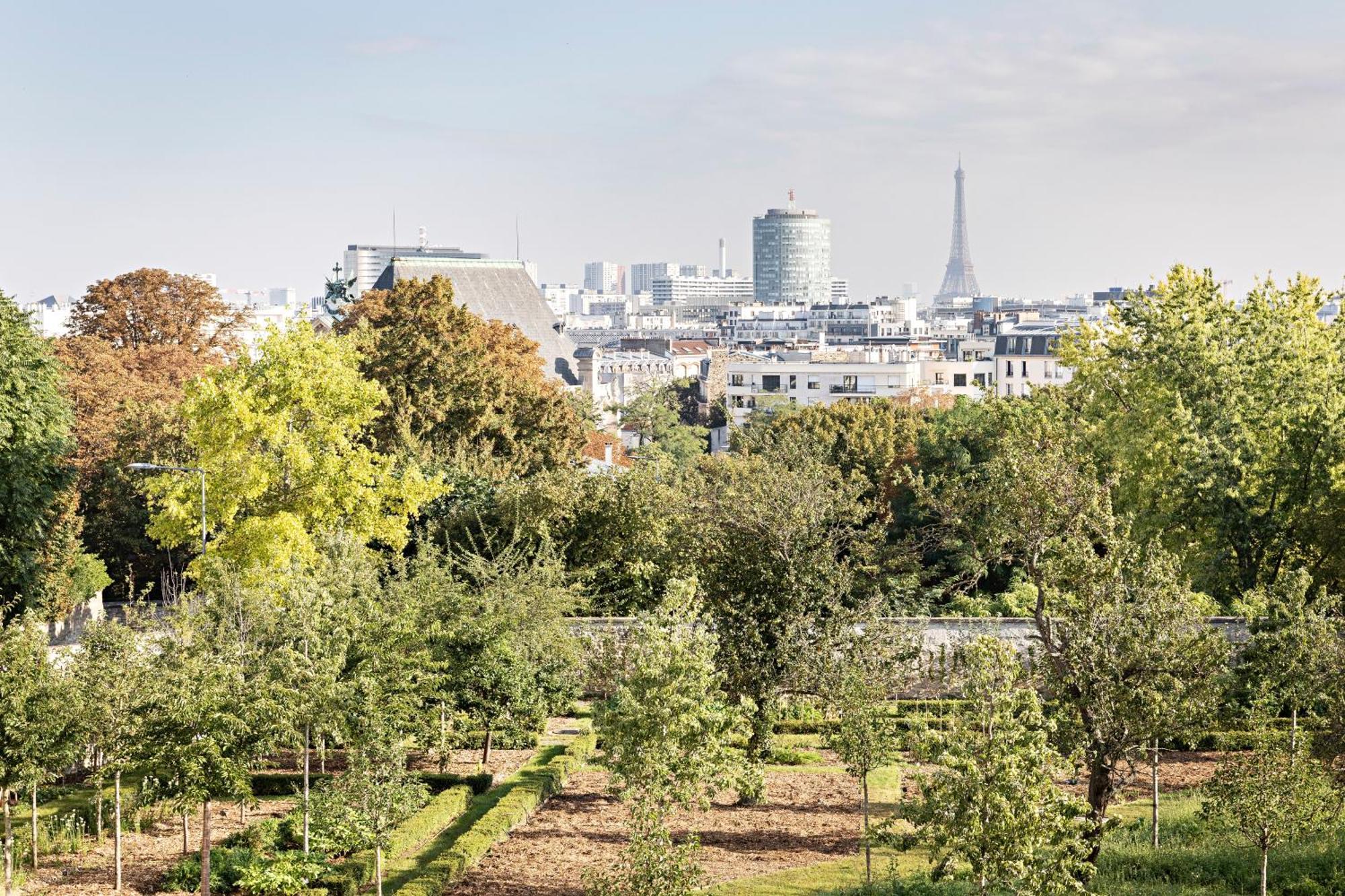 Domaine Reine Margot Paris - Issy Mgallery Collection Luaran gambar